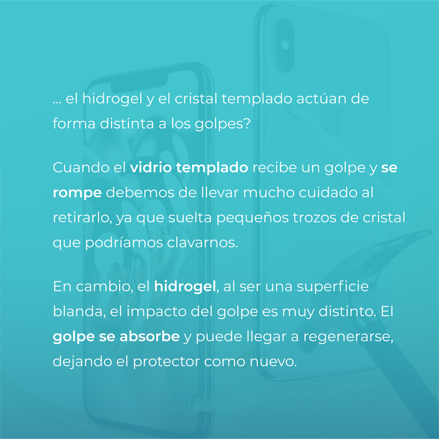 Mica Privacidad Hidrogel